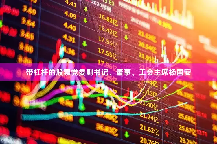 带杠杆的股票党委副书记、董事、工会主席杨国安
