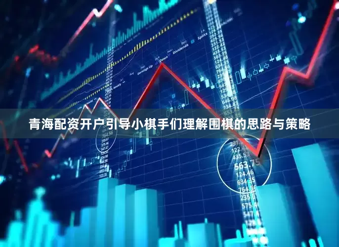 青海配资开户引导小棋手们理解围棋的思路与策略